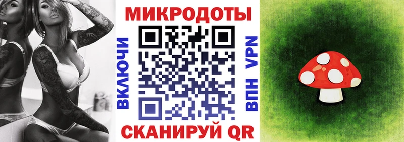 Купить где  Духовщина  Галлюциногенные грибы мицелий 